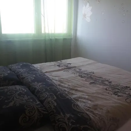 Kao Kod Kuce Daire Saraybosna