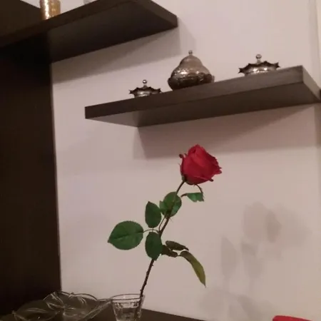 Kao Kod Kuce Daire